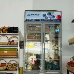 Tủ Mát 2 Cánh Hòa Phát 723 lít HSR-D6723