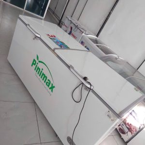 Tủ đông Pinimax PNM-89AF 890 lít